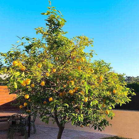 Adosado Con Jardin En Los Xalets De サロウ エクステリア 写真